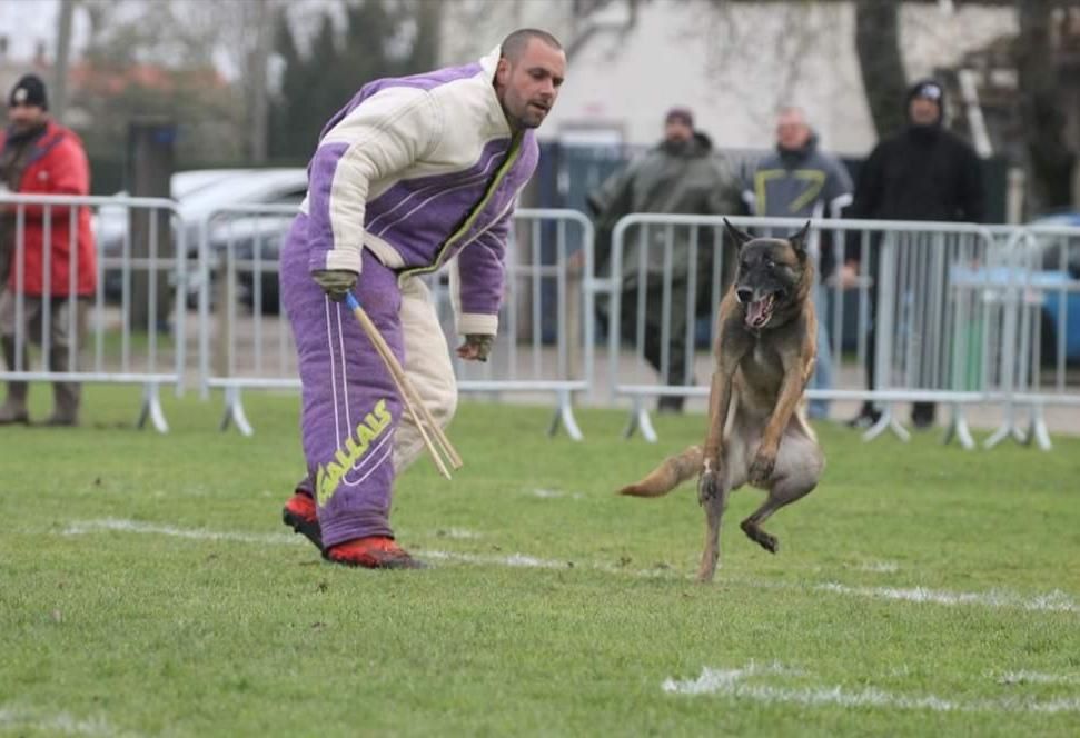 CHAMPIONNAT DE FRANCE RING 2019 HAYKO